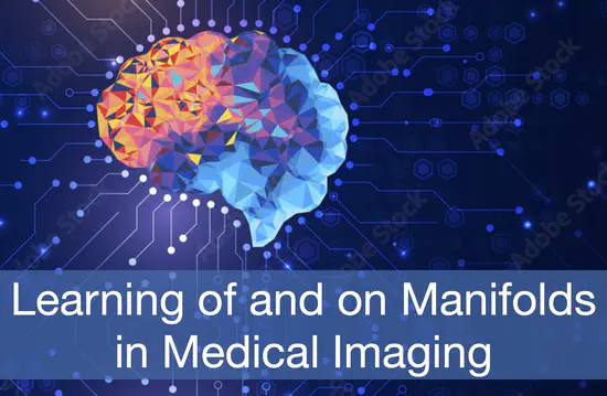 Learning of and on manifolds in medical imaging (IN2107)